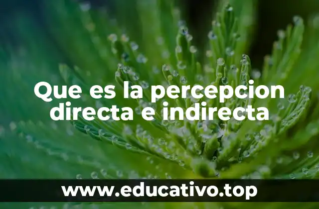 Que es la percepcion directa e indirecta