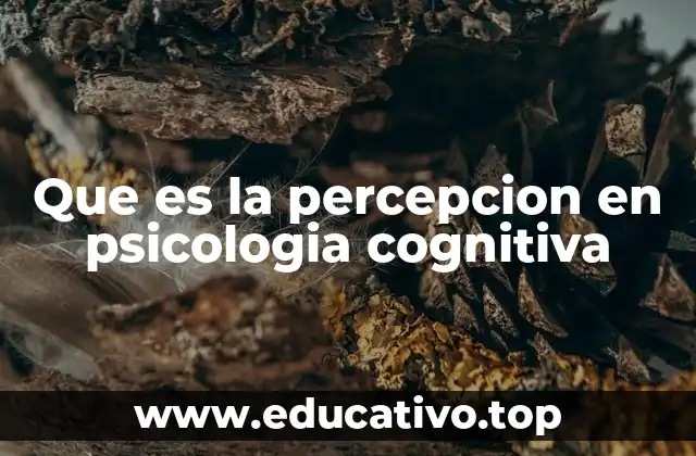 Que es la percepcion en psicologia cognitiva