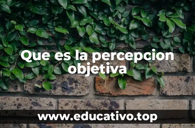 Que es la percepcion objetiva