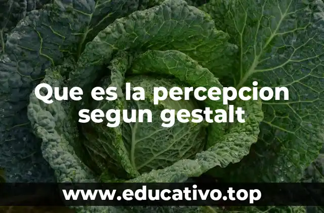 Que es la percepcion segun gestalt