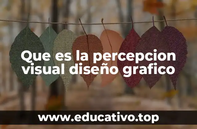 Que es la percepcion visual diseño grafico