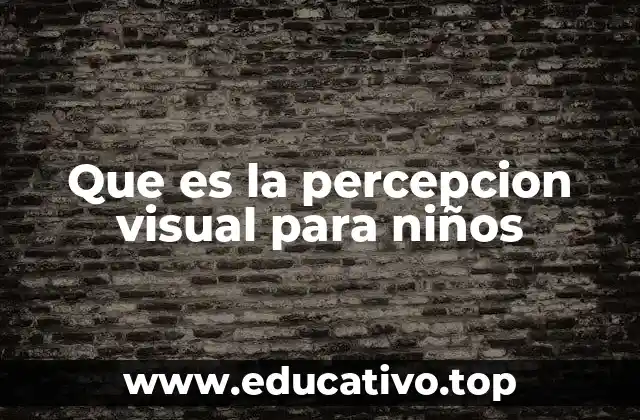 Que es la percepcion visual para niños