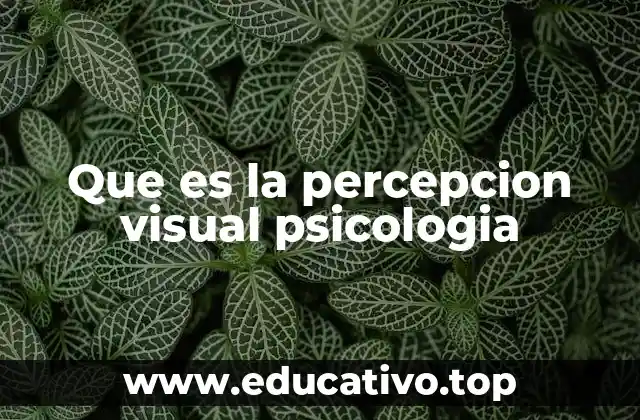 Que es la percepcion visual psicologia