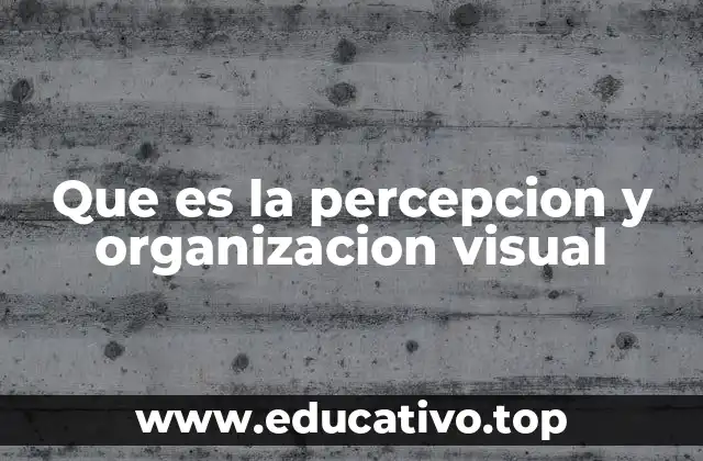 Que es la percepcion y organizacion visual