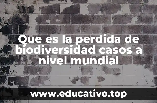 Que es la perdida de biodiversidad casos a nivel mundial