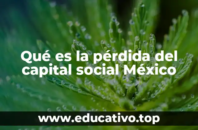 Qué es la pérdida del capital social México