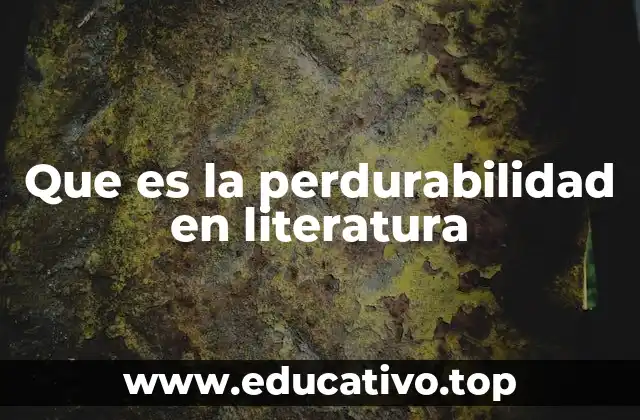 Que es la perdurabilidad en literatura