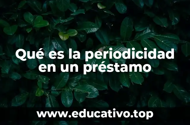 Qué es la periodicidad en un préstamo