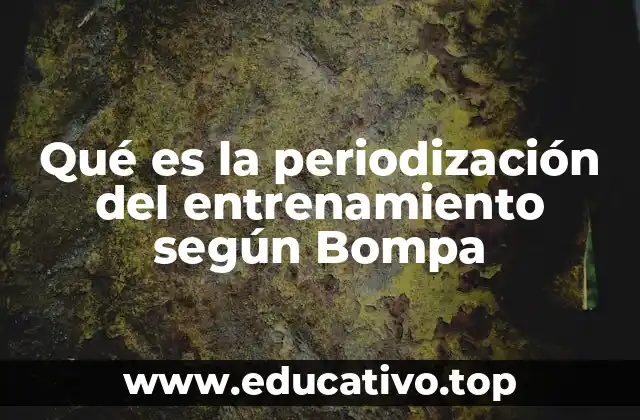 La base científica de la periodización según Bompa