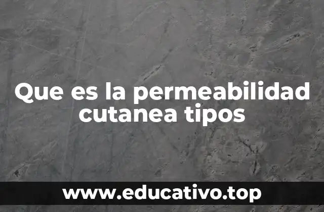 Que es la permeabilidad cutanea tipos