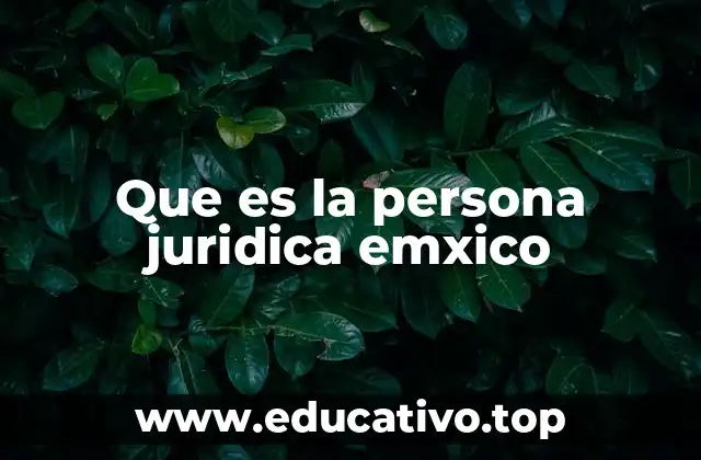 Que es la persona juridica emxico