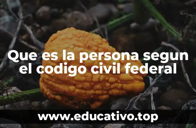 Que es la persona segun el codigo civil federal