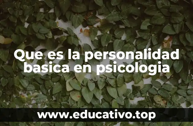 Que es la personalidad basica en psicologia
