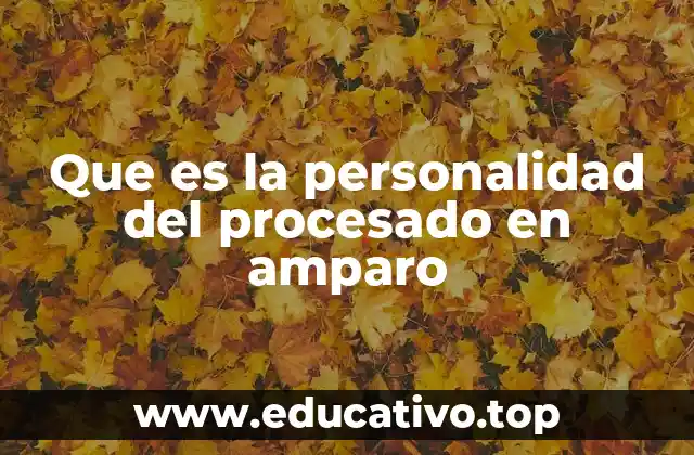 Que es la personalidad del procesado en amparo