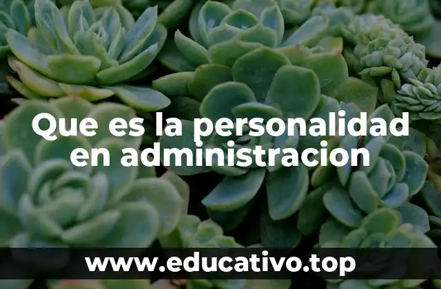 Que es la personalidad en administracion