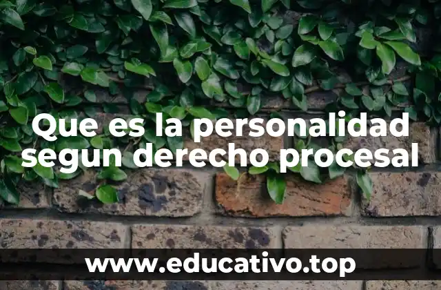 Que es la personalidad segun derecho procesal