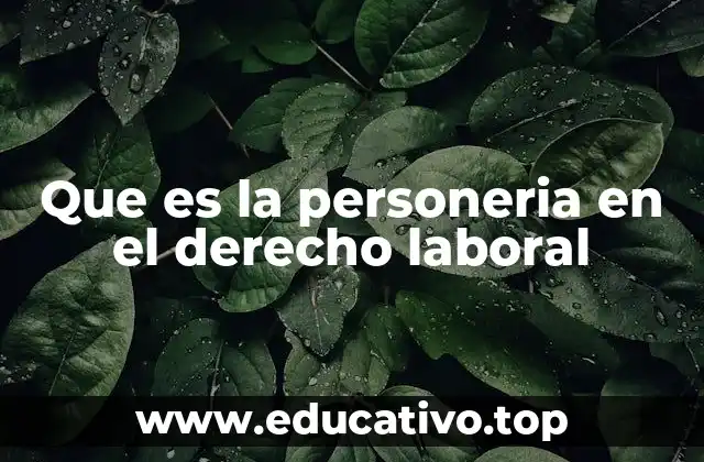 Que es la personeria en el derecho laboral