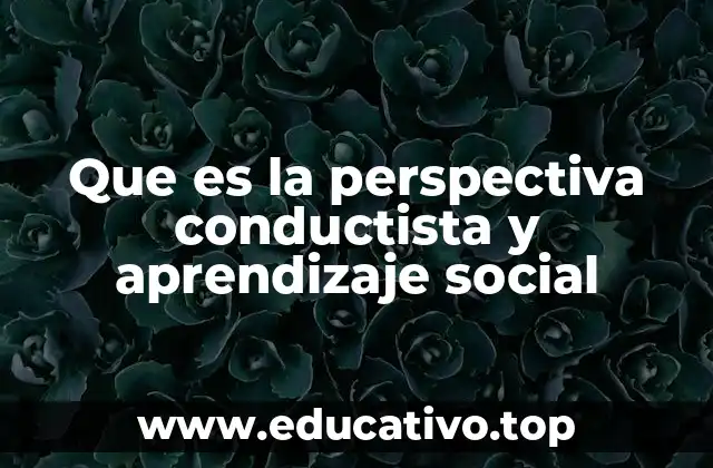Que es la perspectiva conductista y aprendizaje social