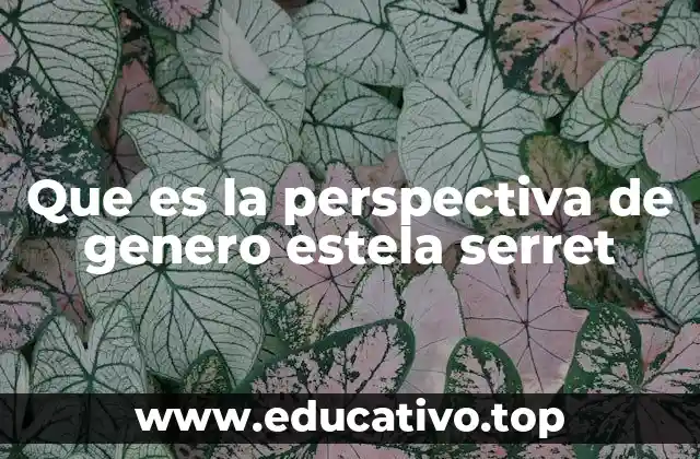 Que es la perspectiva de genero estela serret