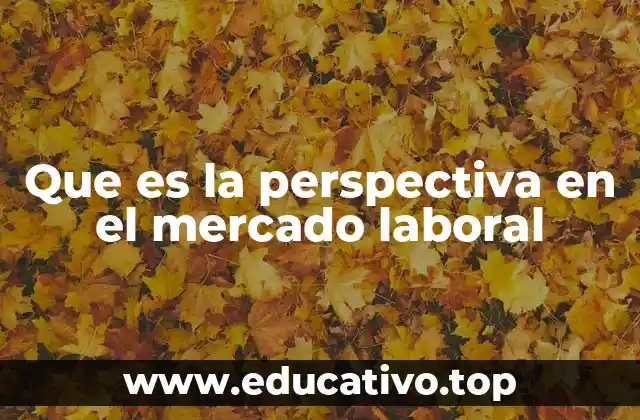 Que es la perspectiva en el mercado laboral