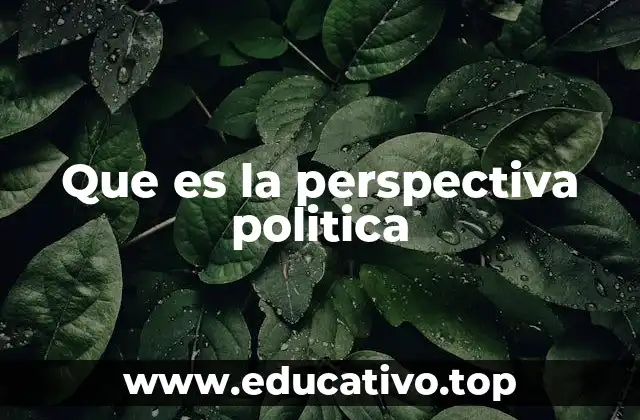 Cómo la perspectiva política influye en la toma de decisiones