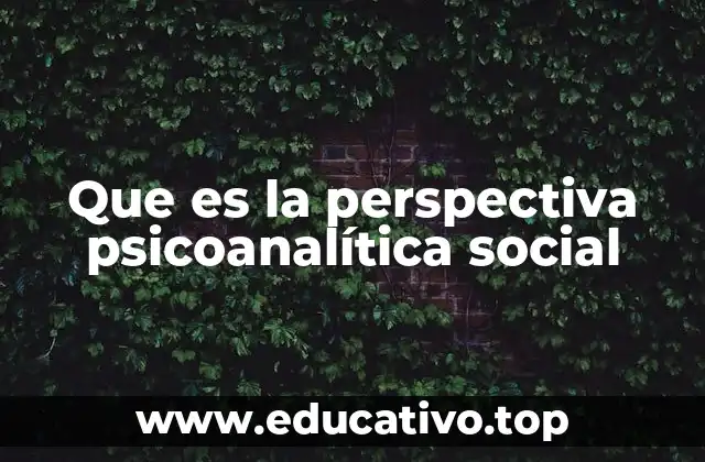 Que es la perspectiva psicoanalítica social