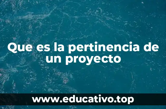 Que es la pertinencia de un proyecto