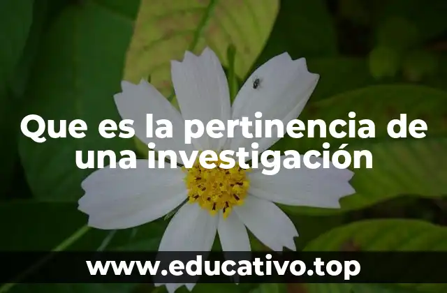 Que es la pertinencia de una investigación