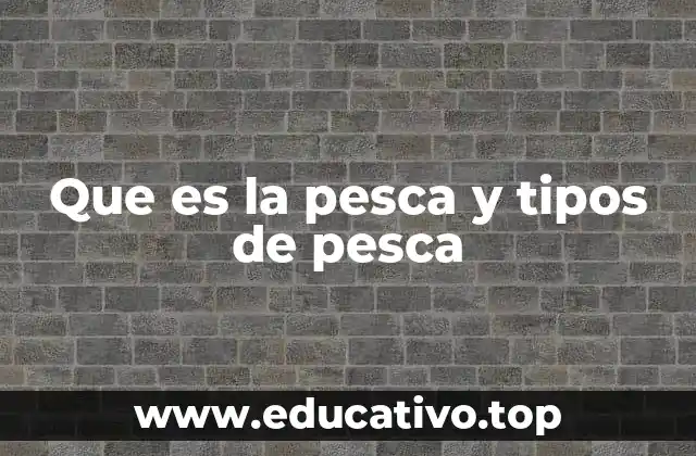 Que es la pesca y tipos de pesca