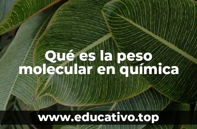 Qué es la peso molecular en química