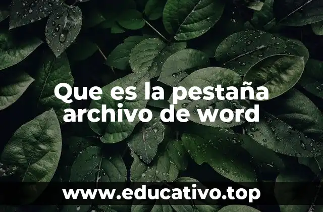 Que es la pestaña archivo de word