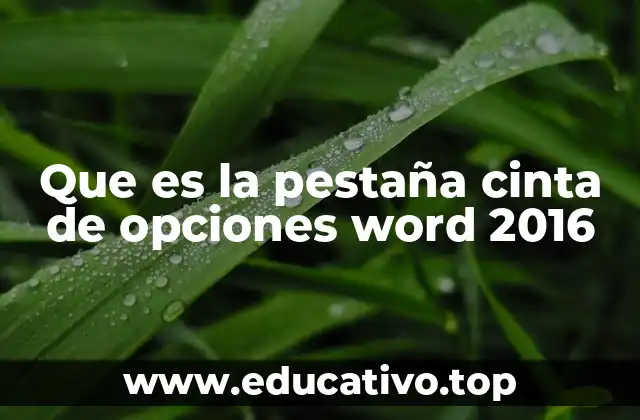 Que es la pestaña cinta de opciones word 2016