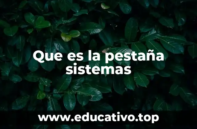 Que es la pestaña sistemas