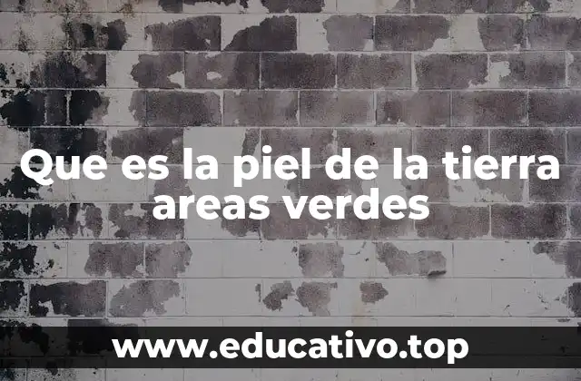 Que es la piel de la tierra areas verdes