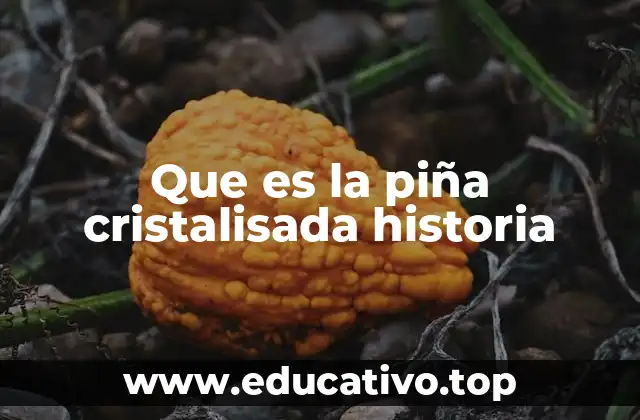 Que es la piña cristalisada historia