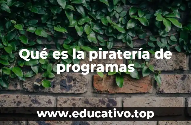 Qué es la piratería de programas
