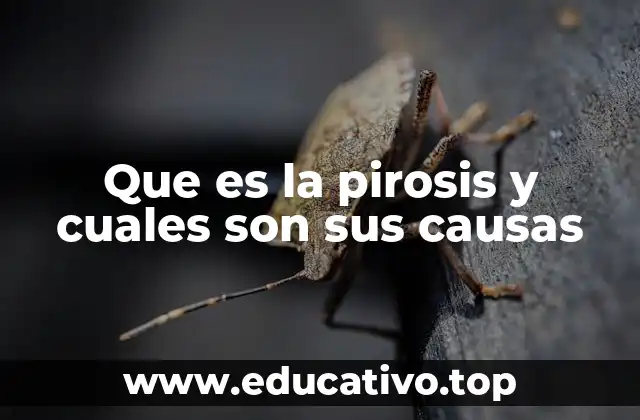 Factores que pueden provocar la sensación de ardor en el pecho