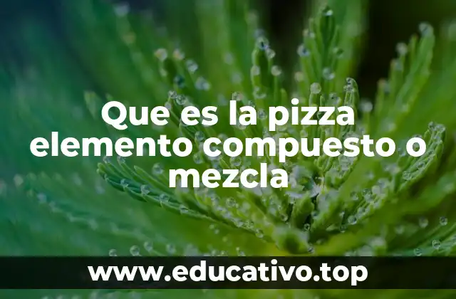 Que es la pizza elemento compuesto o mezcla