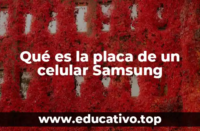 Qué es la placa de un celular Samsung