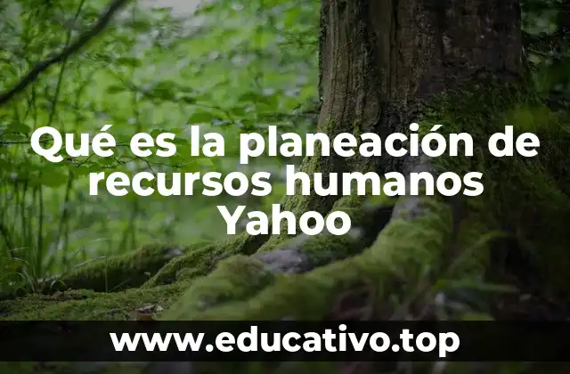 Qué es la planeación de recursos humanos Yahoo