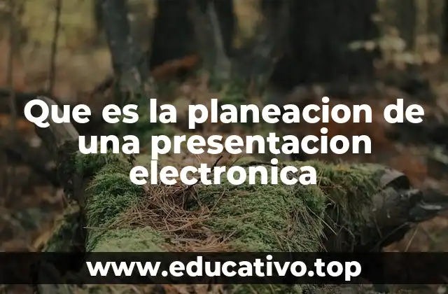 Que es la planeacion de una presentacion electronica