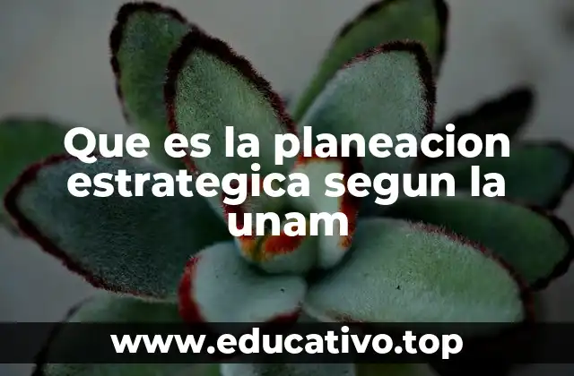Que es la planeacion estrategica segun la unam
