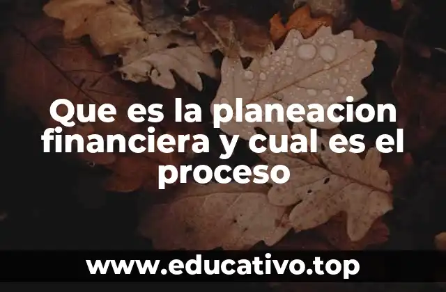 Que es la planeacion financiera y cual es el proceso