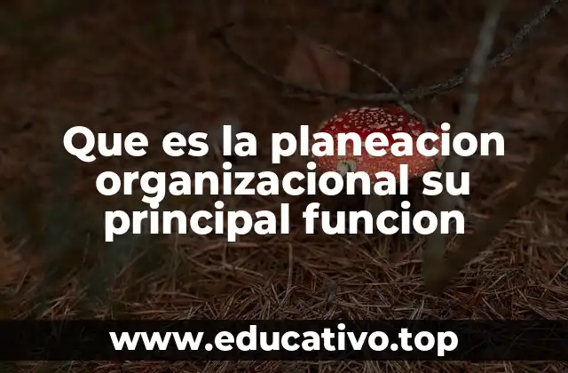 Que es la planeacion organizacional su principal funcion