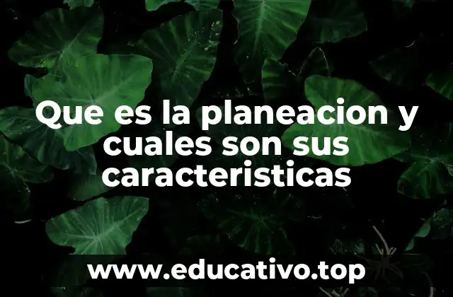Que es la planeacion y cuales son sus caracteristicas