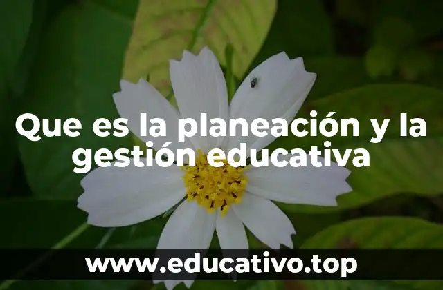 Que es la planeación y la gestión educativa