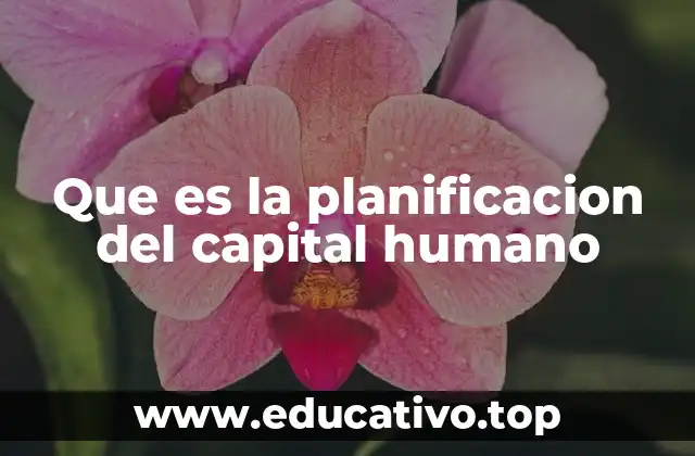 Que es la planificacion del capital humano