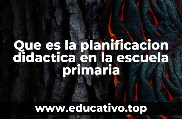Que es la planificacion didactica en la escuela primaria
