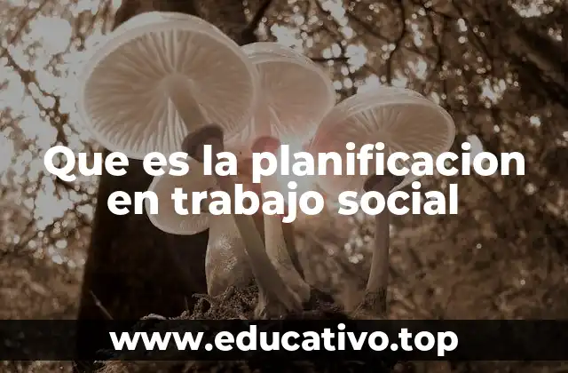 Que es la planificacion en trabajo social