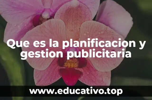 Que es la planificacion y gestion publicitaria